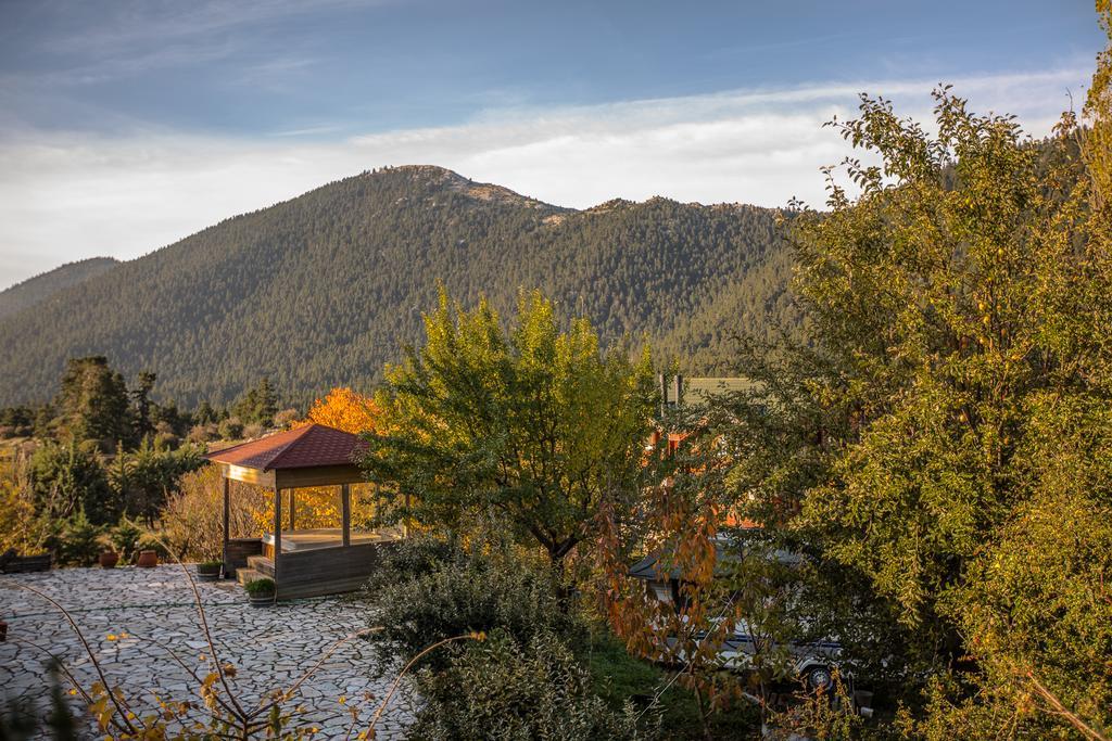 Boutique Hotel Skamnos Arachova Esterno foto